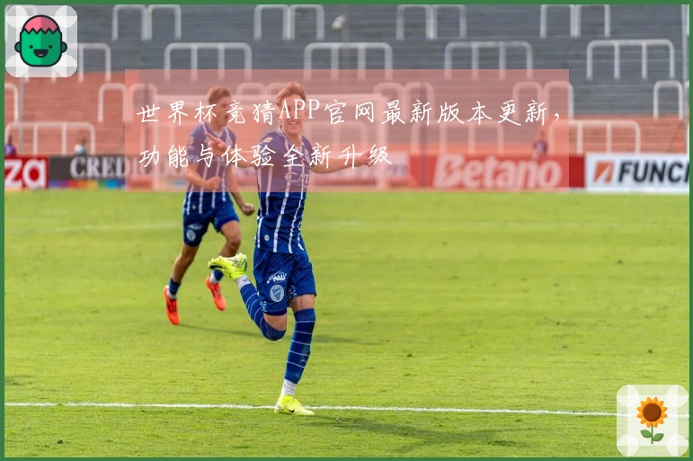 世界杯竞猜APP官网最新版本更新,功能与体验全新升级