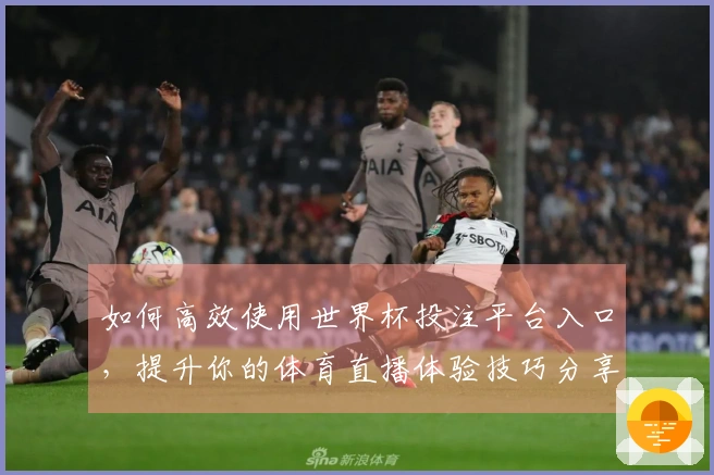如何高效使用世界杯投注平台入口，提升你的体育直播体验技巧分享
