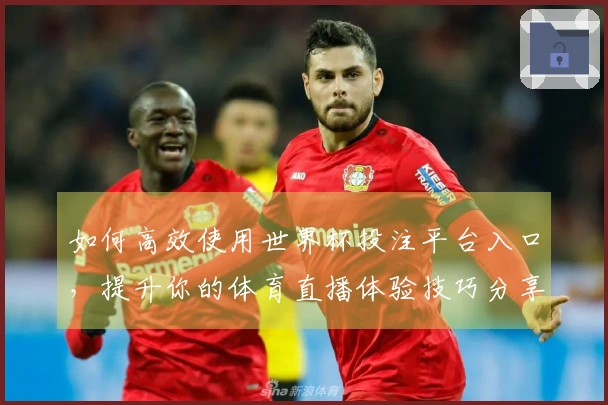 如何高效使用世界杯投注平台入口，提升你的体育直播体验技巧分享