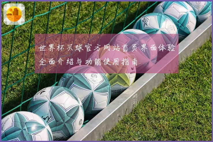 世界杯买球官方网站首页界面体验全面介绍与功能使用指南