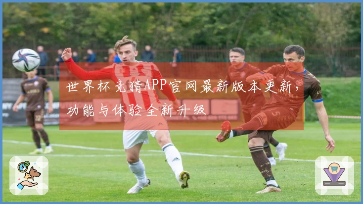 世界杯竞猜APP官网最新版本更新，功能与体验全新升级