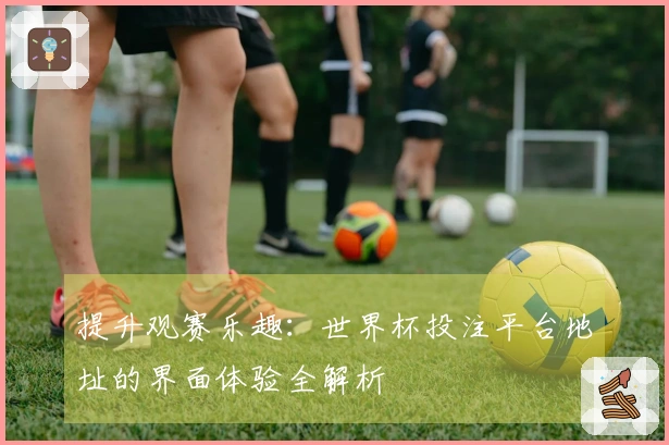 提升观赛乐趣：世界杯投注平台地址的界面体验全解析