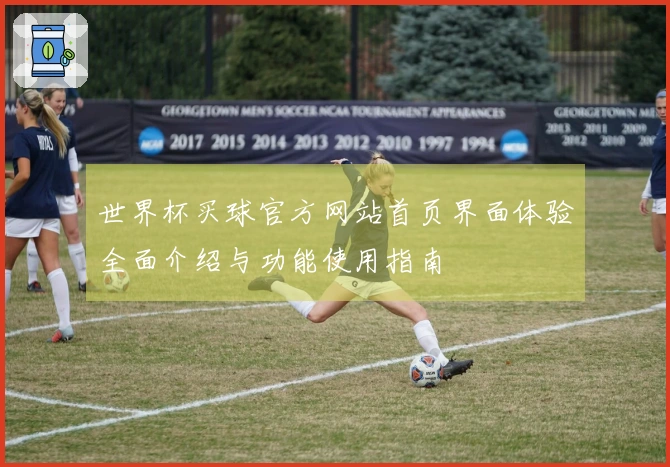 世界杯买球官方网站首页界面体验全面介绍与功能使用指南