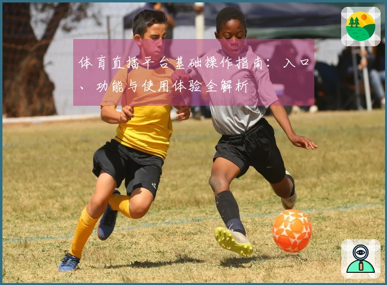 体育直播平台基础操作指南：入口、功能与使用体验全解析