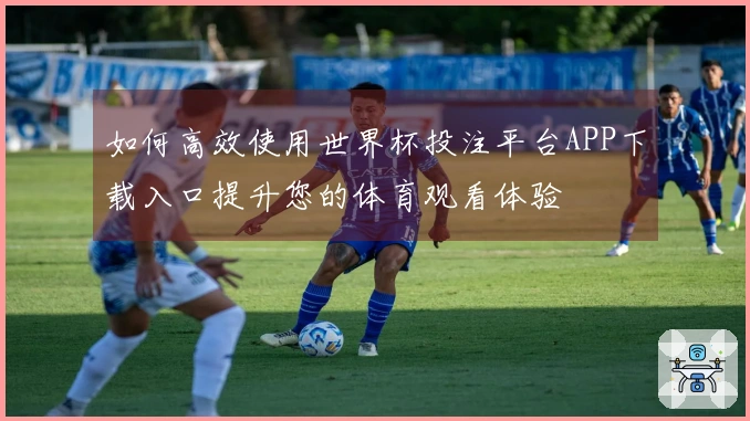 如何高效使用世界杯投注平台APP下载入口提升您的体育观看体验