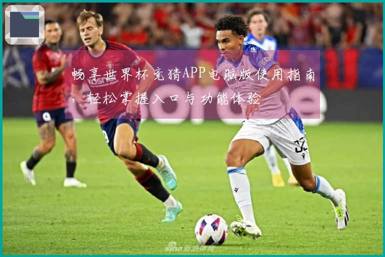 畅享世界杯竞猜APP电脑版使用指南,轻松掌握入口与功能体验