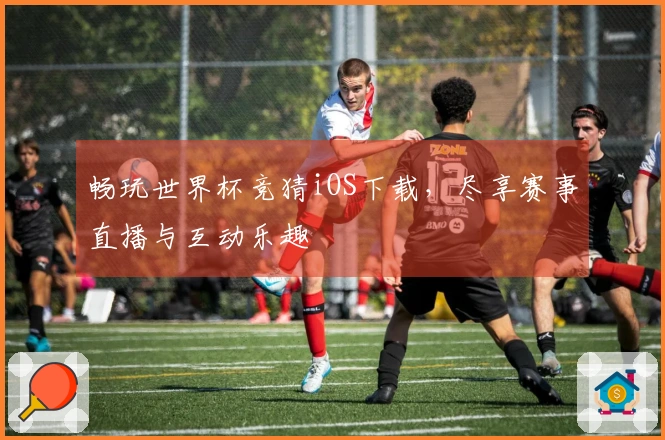 畅玩世界杯竞猜iOS下载，尽享赛事直播与互动乐趣