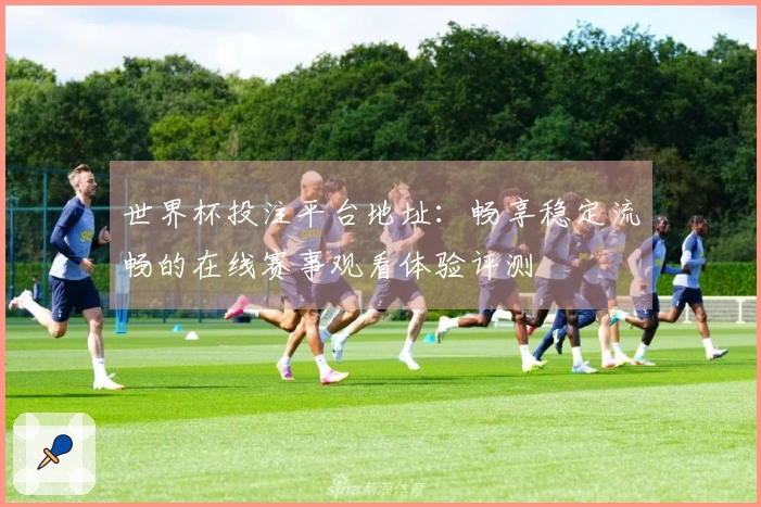 世界杯投注平台地址：畅享稳定流畅的在线赛事观看体验评测